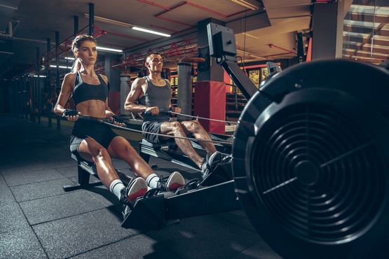 Steroids: Understanding Their Use and Implications